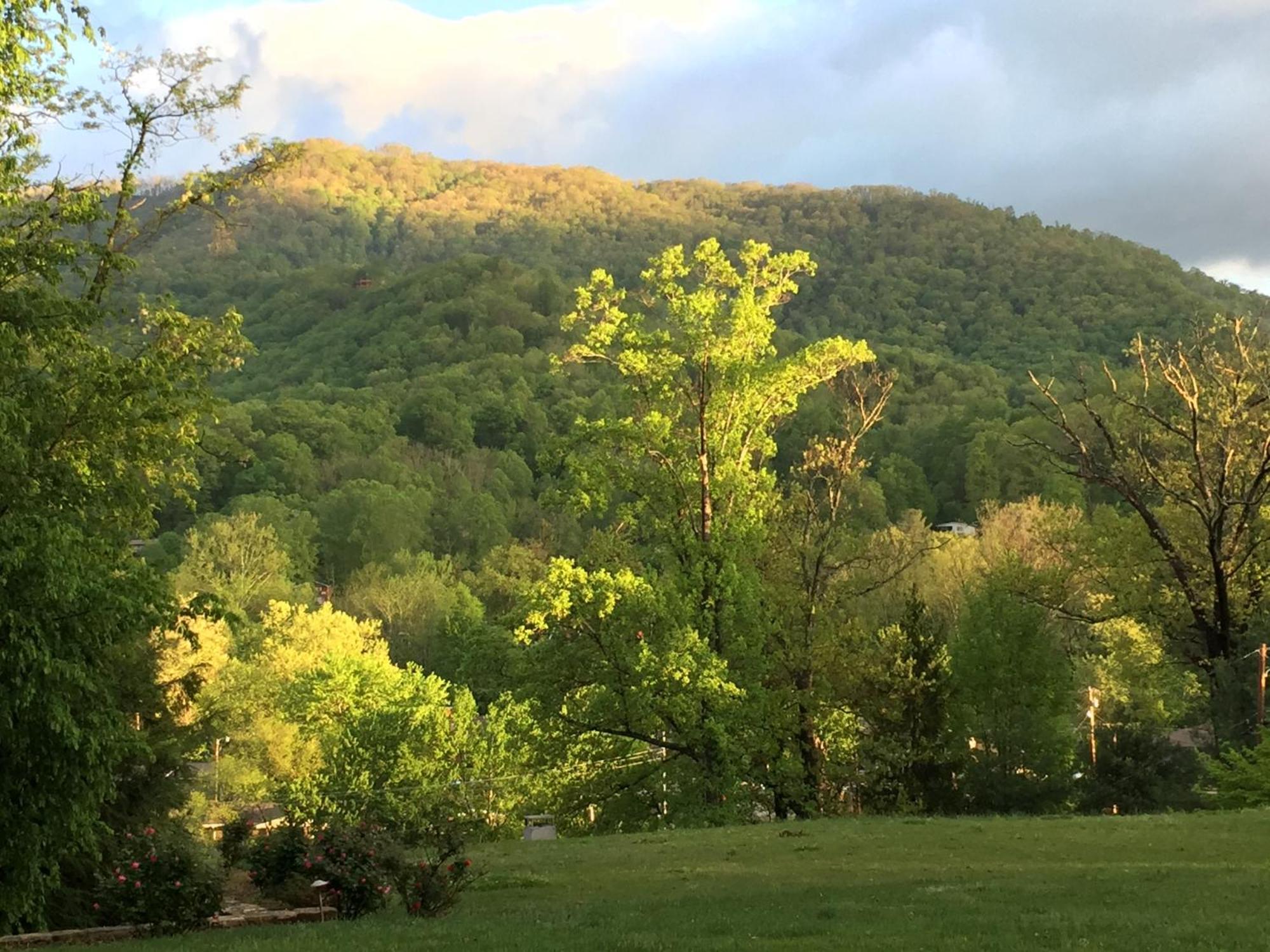 Andon-Reid Inn Bed & Breakfast Waynesville Esterno foto